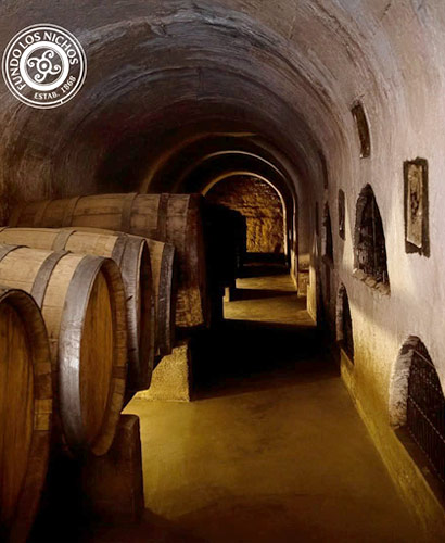 bodega barricas de pisco