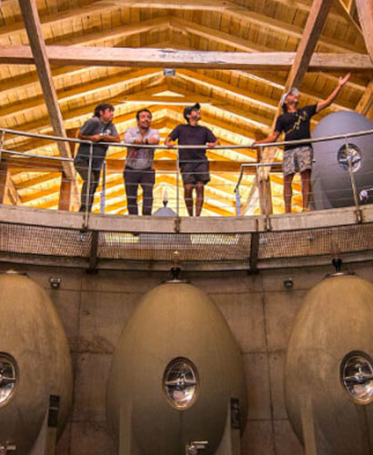 bodega de viÃ±a con personas