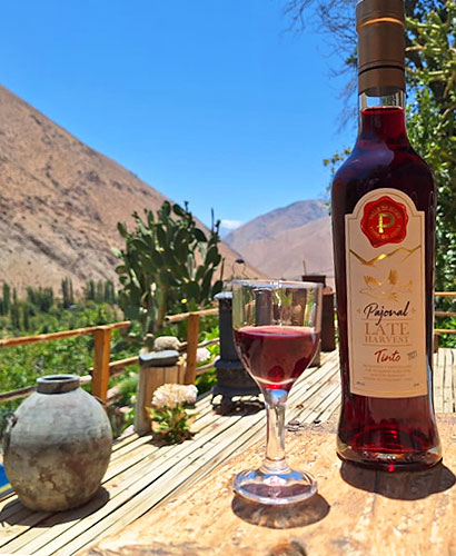 boetella de vino con copa en una mesa al aire libre en un valle
